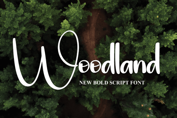 Woodland: A Bold Typeface for Dynamic Designs